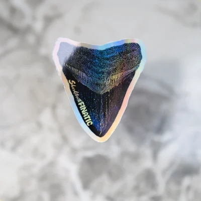 Holo Galaxy Meg Sticker