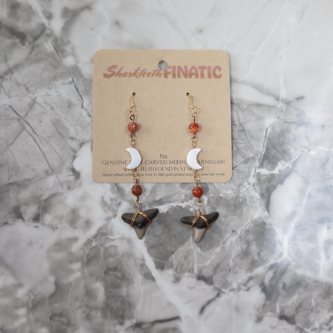 pair of carnelian shark tooth earrings with shell moons, wrapped in bronze wire suspended from 18kt gold plate ear wires