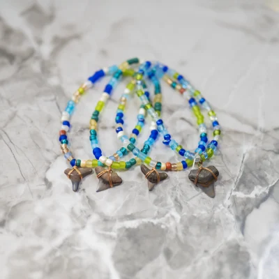 Land & Sea - Friendship Bracelet