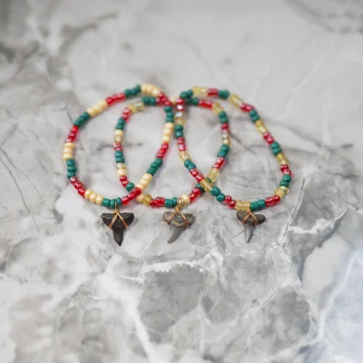 Wrasse - Friendship Bracelet