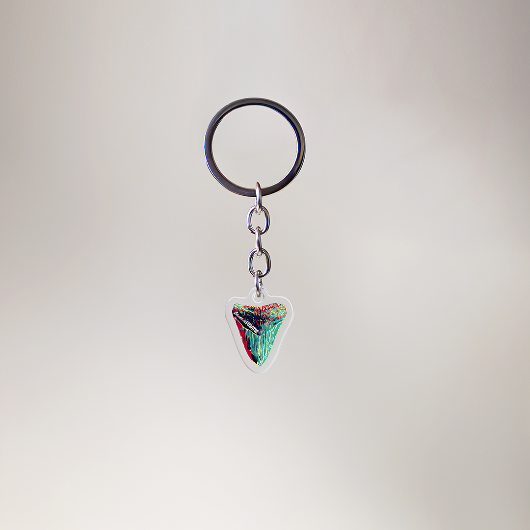 1" keychain featuring a megalodon shark in a rasta design