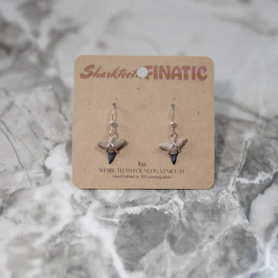 pair of shark tooth earrings in .925 sterling silver