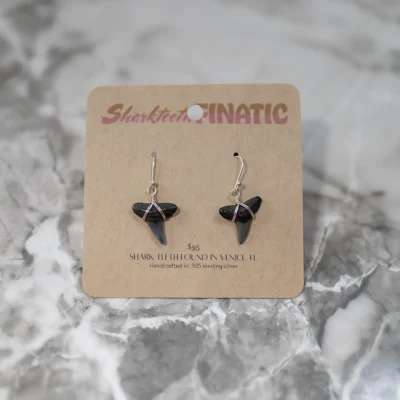 pair of shark tooth earrings in .925 sterling silver
